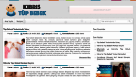 What Kibristupbebek.biz website looked like in 2017 (6 years ago)