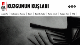 What Kuzgununkuslari.com website looked like in 2017 (6 years ago)