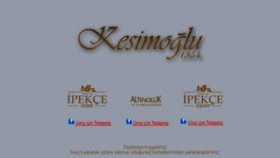 What Kesimoglu.com website looked like in 2017 (6 years ago)