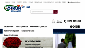 What Karabukcicek.com website looked like in 2017 (6 years ago)