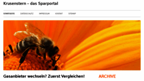 What Krusenstern.ch website looked like in 2017 (6 years ago)