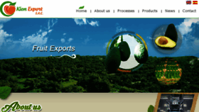 What Kionexport.com website looked like in 2017 (6 years ago)
