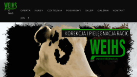 What Korekcjaracic.eu website looked like in 2017 (6 years ago)