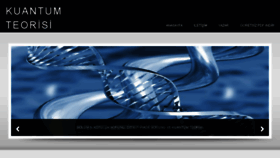 What Kuantum.gen.tr website looked like in 2017 (8 years ago)