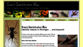 What Knowyourinsects.org website looked like in 2017 (6 years ago)