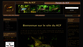 What Killiclubdefrance.org website looked like in 2017 (6 years ago)