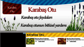 What Karabasotu.gen.tr website looked like in 2017 (6 years ago)