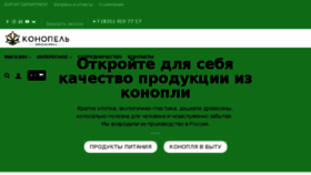 What Konopel.ru website looked like in 2018 (6 years ago)