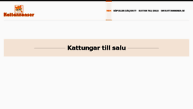 What Kattannonser.se website looked like in 2018 (6 years ago)