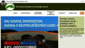 What Korytarze.pl website looked like in 2018 (6 years ago)