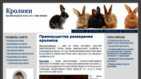 What Kpoliki.ru website looked like in 2018 (6 years ago)