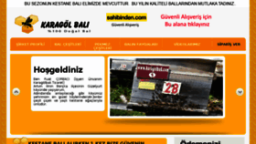 What Karagolbali.com website looked like in 2018 (5 years ago)