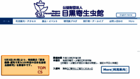 What Kiseichu.org website looked like in 2018 (7 years ago)