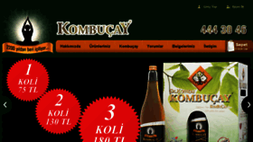What Kombucay.com.tr website looked like in 2018 (6 years ago)