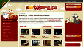 What Koty.org.pl website looked like in 2018 (5 years ago)