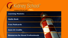 What Kidneyschool.org website looked like in 2018 (5 years ago)