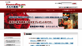 What Kimono-story.com website looked like in 2018 (5 years ago)
