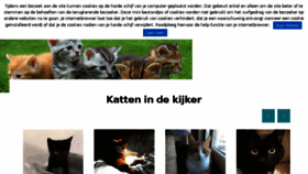 What Katzoektthuis.be website looked like in 2018 (5 years ago)