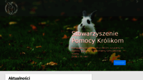 What Kroliki.net website looked like in 2018 (5 years ago)
