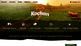 What Kochansut.com website looked like in 2018 (5 years ago)