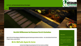 What Kossmann.business website looked like in 2018 (5 years ago)