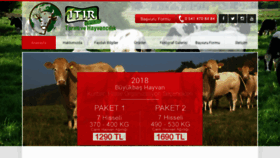What Kurbanciftligi.com website looked like in 2019 (5 years ago)