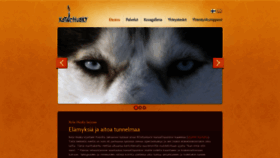 What Kota-husky.fi website looked like in 2019 (4 years ago)