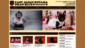 What Koyamabull.jp website looked like in 2019 (4 years ago)