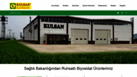 What Kulsanilac.com website looked like in 2019 (4 years ago)