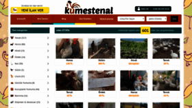 What Kumestenal.com website looked like in 2019 (4 years ago)