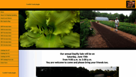 What Kennesawmountaindaylilygardens.com website looked like in 2019 (4 years ago)