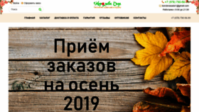 What Koroleva-sada.ru website looked like in 2019 (4 years ago)