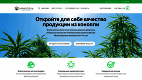 What Konopel.ru website looked like in 2019 (4 years ago)