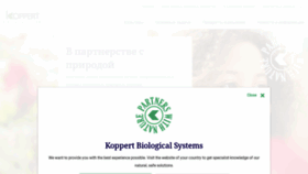 What Koppert.ru website looked like in 2019 (4 years ago)