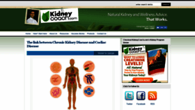 What Kidneycoach.com website looked like in 2019 (4 years ago)