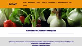 What Kousmine.fr website looked like in 2019 (4 years ago)