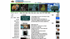 What Kaap.or.kr website looked like in 2019 (6 years ago)