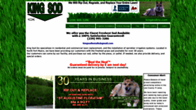What Kingsodinc.com website looked like in 2019 (4 years ago)