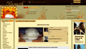 What Kamelek.com website looked like in 2019 (4 years ago)