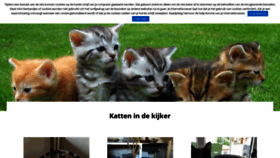 What Katzoektthuis.be website looked like in 2019 (4 years ago)