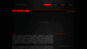 What Koptchev.com website looked like in 2019 (4 years ago)