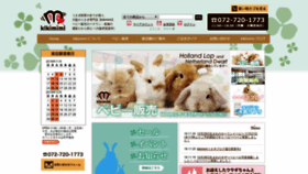 What Kikimimi.biz website looked like in 2019 (4 years ago)