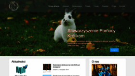 What Kroliki.net website looked like in 2019 (4 years ago)