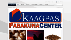 What Kaagpas.com website looked like in 2019 (4 years ago)