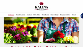 What Kalina.krakow.pl website looked like in 2019 (4 years ago)