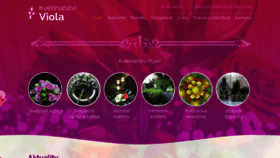 What Kvetinyviola.cz website looked like in 2020 (6 years ago)