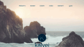 What Kalvei.cz website looked like in 2020 (4 years ago)