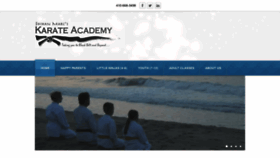 What Karatebaltimore.com website looked like in 2020 (4 years ago)