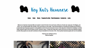 What Keykatshavanese.com website looked like in 2020 (4 years ago)