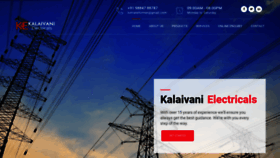 What Kalaivanielectricals.com website looked like in 2020 (4 years ago)